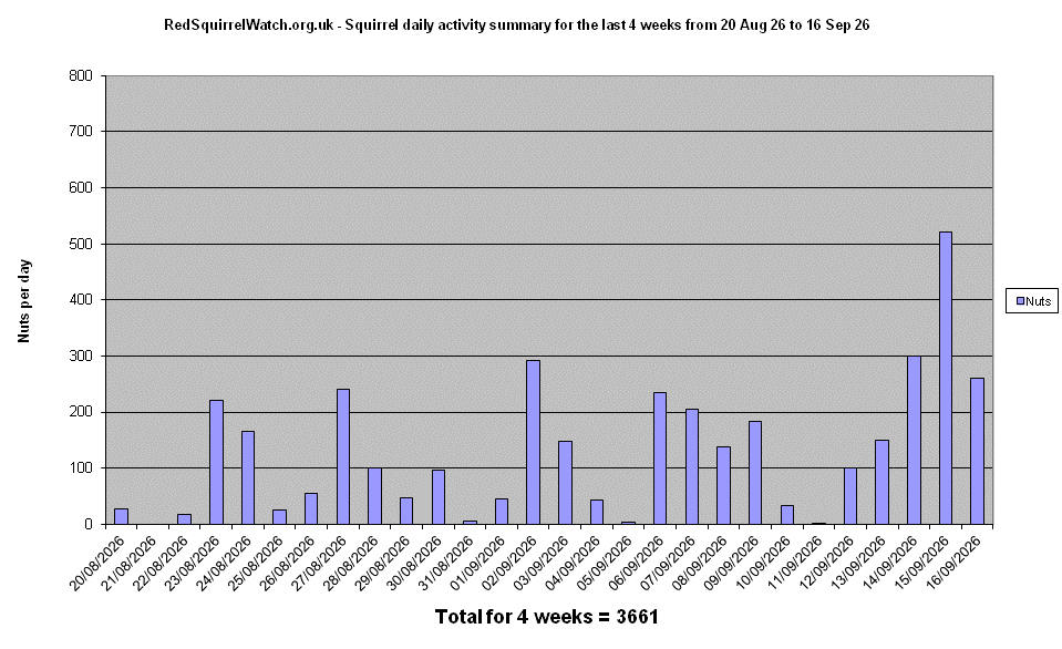 Click to view the Activity chart full-size