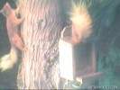 Click to view film clip